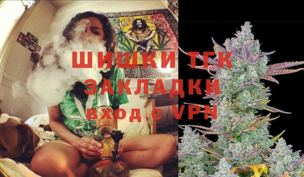 индика Корсаков