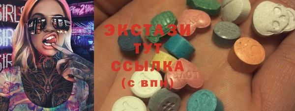индика Корсаков