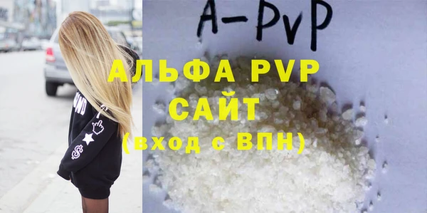 индика Корсаков