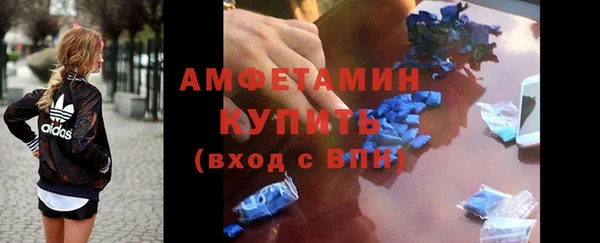 индика Корсаков