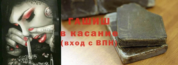 индика Корсаков