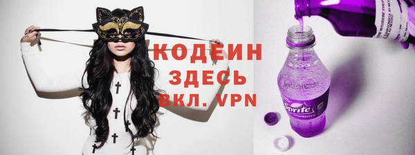 индика Корсаков