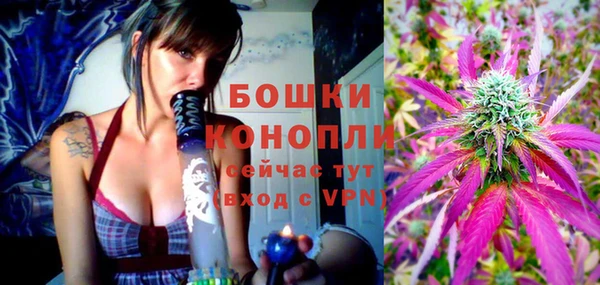 индика Корсаков