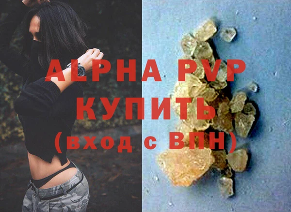 индика Корсаков