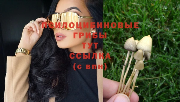 mdpv Коряжма