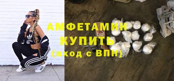 индика Корсаков