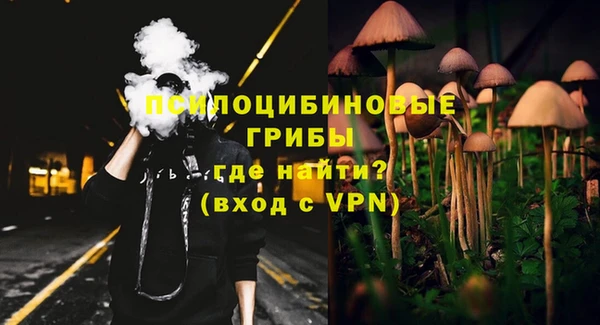 индика Корсаков