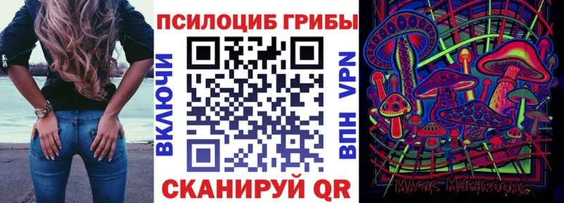 Купить  Камышлов  Псилоцибиновые грибы Cubensis 